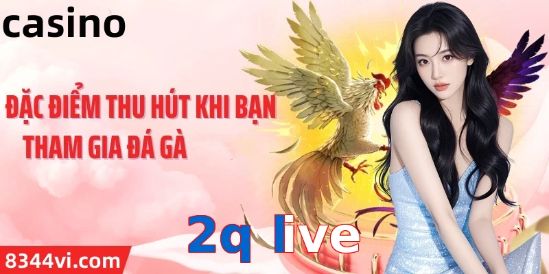 2q live