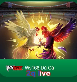 2q live